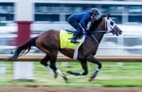 He's back: Render Judgment is entered into Kentucky Derby 2025