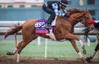 New sire well represented in Keeneland's QE II Challenge