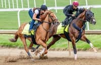 Updated: 7 days to Kentucky Derby, check out final workouts