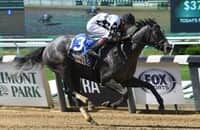Sterling Silver steps up to graded company in Victory Ride