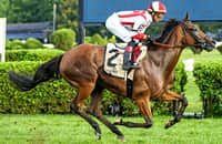 Technical Analysis goes gate-to-wire in dominant Lake Placid win