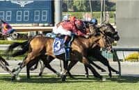 True Valour prevails in a blanket finish to win City of Hope Mile