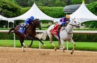 Sovereignty, White Abarrio lead blockbuster Stephen Foster