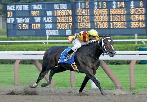 horseracingnation com