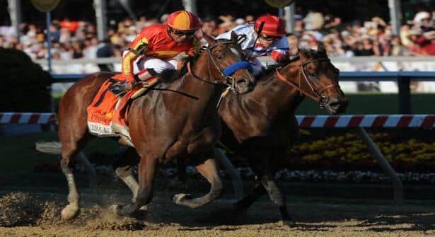 Good Things Ahead for the 2012 Preakness Winner