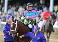 6 November 2010: Chamberlain Bridge, ridden by Jamie Theriot and trained by William B. Calhoun, closed for a victory in the Breeders Cup Turf Sprint at Churchill Downs in Louisville, KY. (Scott Serio/Eclipse Sportswire)