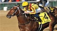 31 October 2010: Garrett Gomez and Astrology take the G3 Iroquois Stakes at Churchill Downs in Louisville, Kentucky. 