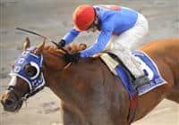 09 October 03: Summer Bird (no. 3), ridden by Kent Desormeaux and trained by Tim Ice, wins the 91st running of the grade 1 Jockey Club Gold Cup Stakes for three year olds and upward at Belmont Park in Elmont, New York.
