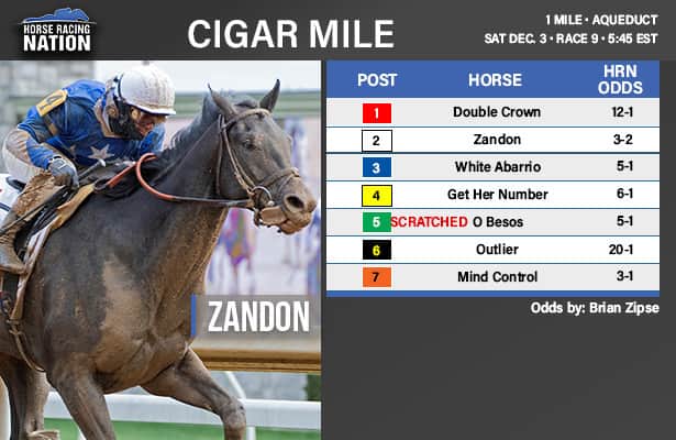 Cigar Mile 2022: Odds and analysis for N.Y.'s final Grade 1