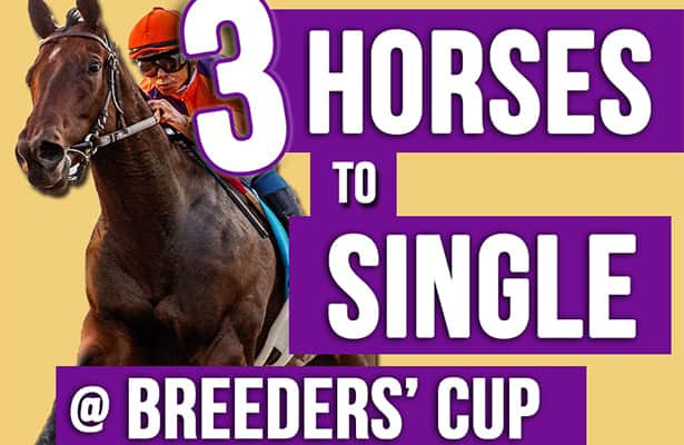 Video: 3 Breeders’ Cup 2023 must-use horses to single