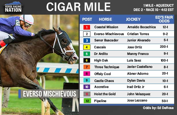 Cigar Mile fair odds: Long shot has big shot in stakes debut