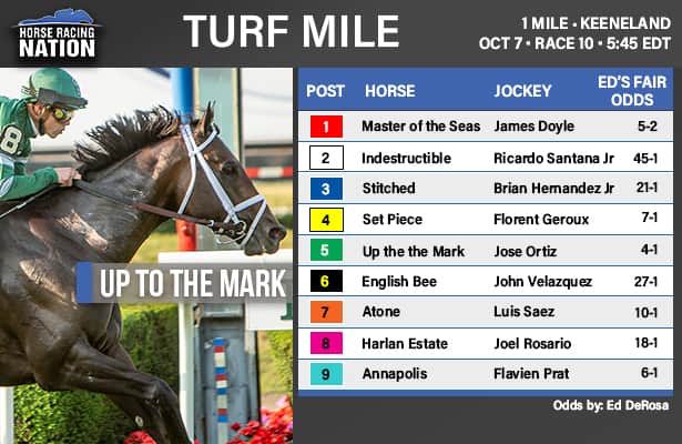 Turf Mile fair odds: Value hinges on Up to the Mark’s price