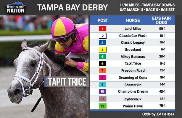 Tampa Bay Derby fair odds: What is right price for Tapit Trice?