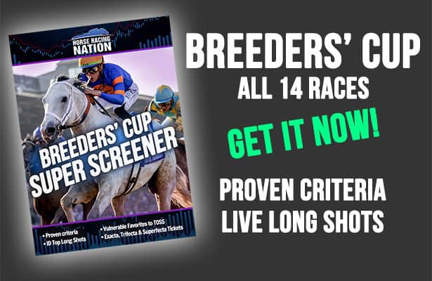 Super Screener Breeders’ Cup 2024 analysis is available now
