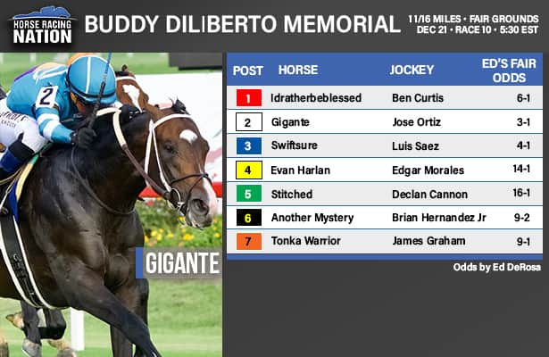 Buddy Diliberto fair odds: Long shot offers opportunity on turf