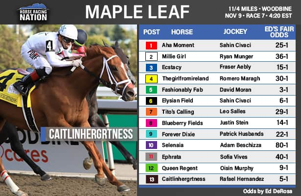 Maple Leaf fair odds: Classic test points to logical answers