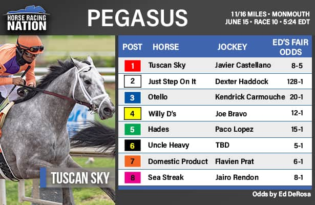 Pegasus fair odds: Bank this single in local Haskell prep