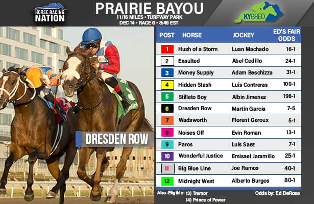 Fair odds: Prairie Bayou runner is your all-stakes Pick 4 single