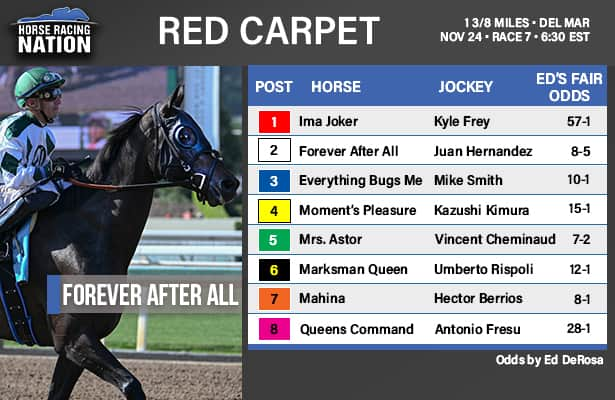 Red Carpet fair odds: In-form mare ships in with big chance