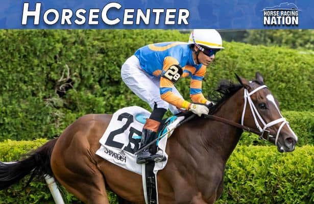 Breeders’ Cup: Early top picks for all 14 races on HorseCenter