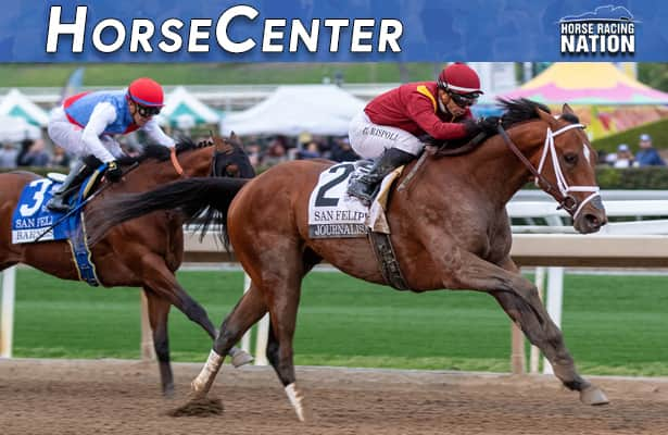 HorseCenter: Tampa Bay Derby picks, Thorpedo Anna’s return