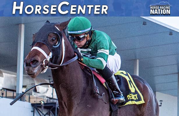 HorseCenter: Preakness contenders & Peter Pan picks