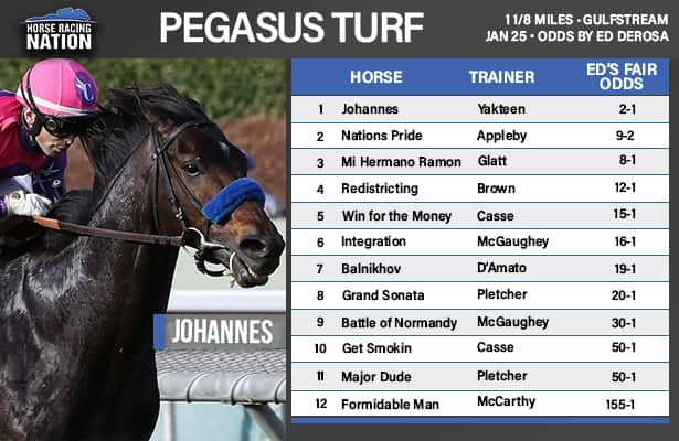 Pegasus Turf fair odds: Potential for a breakthrough offers value