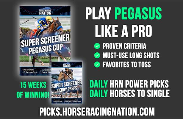 Super Screener: Inside Info on live Pegasus day long shot