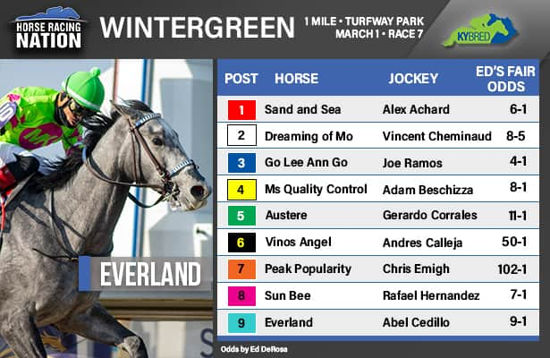 Fair odds: Speed is power at Turfway in Wintergreen