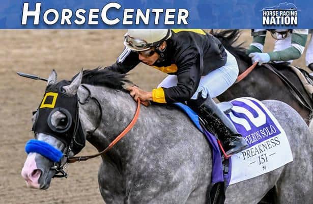 HorseCenter: The war on the shore - 2026 Haskell Stakes preview