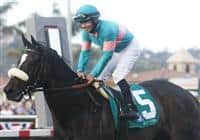 Zenyatta marks her 18th victory, winning the Clement L. Hirsch Stakes at Del Mar Thorobred Club, Del Mar, CA 