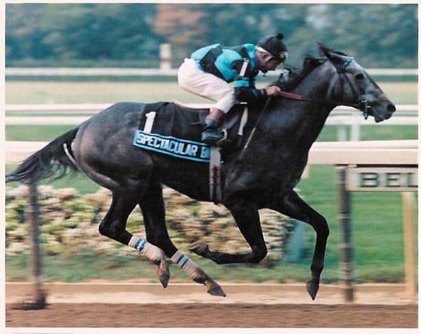 horseracingnation com