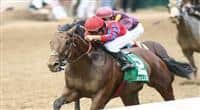 1 May 2009: Bullsbay and Jeremy Rose win the 6th running of the Alysheba Stakes at Churchill Downs in Louisville, Kentucky.