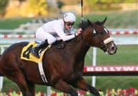 21 November 2009: American Lion and Julien Leparoux win the Hollywood Prevue Stakes (GIII) at Hollywood Park, Inglewood, CA.