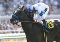 September 05 2010. Twirling Candy and Joel Rosario win the Del Mar Derby(GII) at Del Mar Race Track in Del Mar CA.
