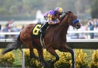 September 05 2010. Switch and Joel Rosario win the Torrey Pines Stakes at Del Mar Race Track in Del Mar CA.. 
