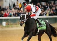 05 November 2010: Dubai Majesty and Jamie Theriot win the Breeders' Cup Filly and Mare Sprint at Churchill Downs, Louisville, KY.