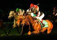 05 November 2010: Shared Account and Edgar Prado win the Breeders' Cup Filly and Mare Turf at Churchill Downs, Louisville, KY. 