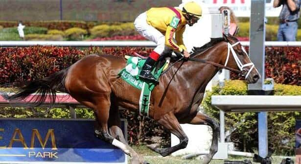 Kentucky Oaks 2013: Dreaming of Julia Favored over 10 others - Horse ...