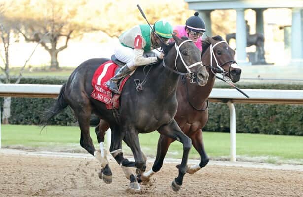 Oaklawn: A Mo Reay picks up the pieces to win the Bayakoa