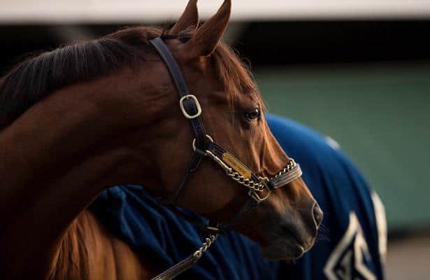 Video: On board for Accelerate's latest Pegasus World Cup work