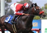 May 15, 2010.Acclamation riden by Christian Santiago Reyes, wins The Jim Murray Handicap at Hollywood Park, Inglewood, CA