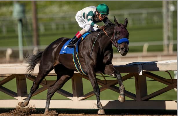 First Look: Black-Eyed Susan leads buildup to Preakness