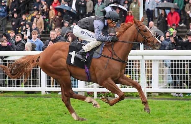 U.S. partners buy into 3-for-3 Breeders' Cup hopeful