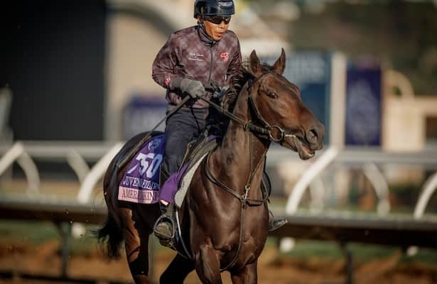 5 Japan shippers most likely to win at Breeders’ Cup 2024