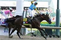 /horse/American Pharoah siblings