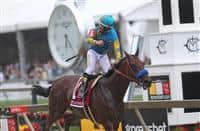 /horse/American Pharoah siblings