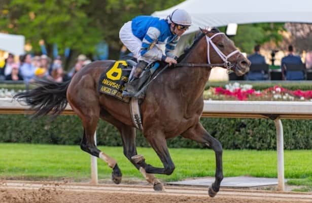 2023 Belmont Stakes: Ranking the field 1st to last