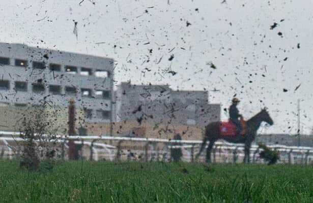 It is too wet for Miss Grillo; race is postponed to next Sunday