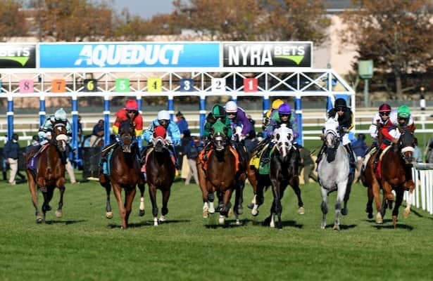 Belmont at Aqueduct: 12 will line up for Sunday’s Matron Stakes